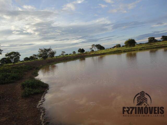 #403 - Fazenda para Venda em Alvorada do Norte - GO - 2