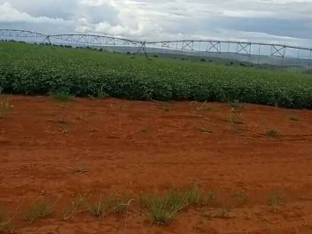 #410 - Fazenda para Venda em Planaltina - DF - 3