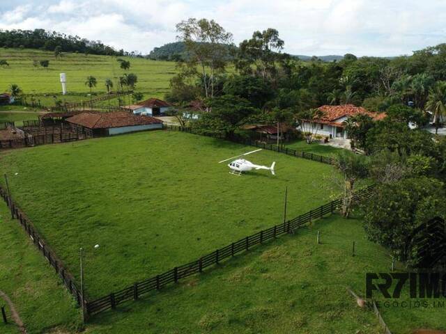 #420 - Fazenda para Venda em Vila Propício - GO - 1