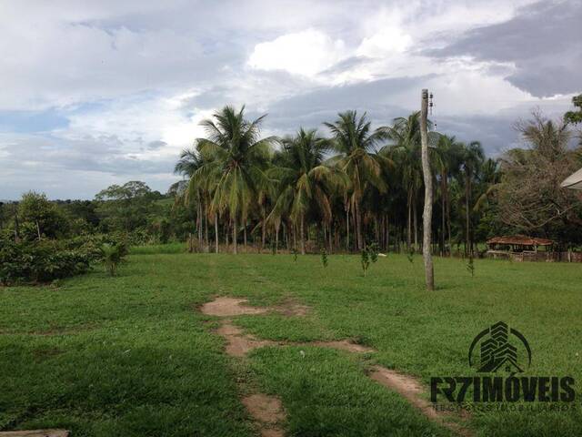 #462 - Fazenda para Venda em Goianésia - GO - 3