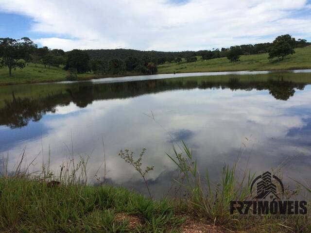 #462 - Fazenda para Venda em Goianésia - GO - 2