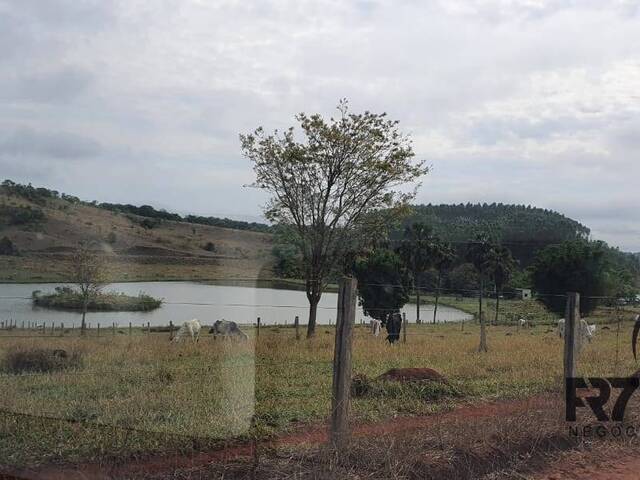 #471 - Fazenda para Venda em Bela Vista de Goiás - GO - 3