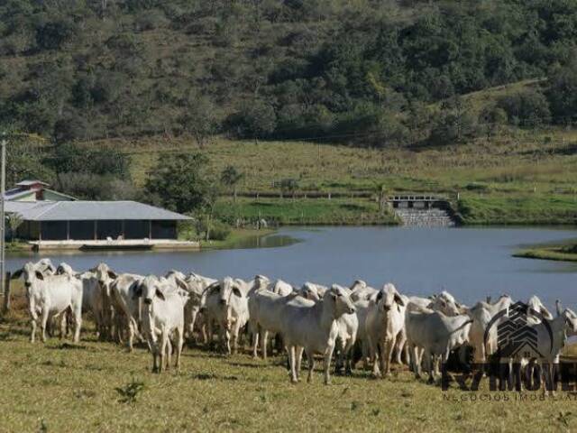 #471 - Fazenda para Venda em Bela Vista de Goiás - GO - 2