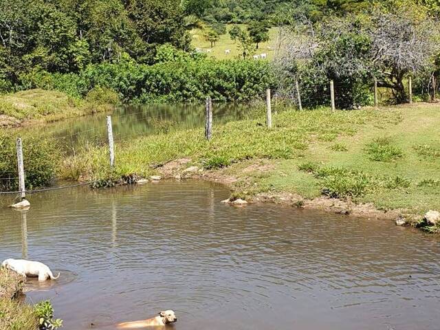 #522 - Fazenda para Venda em Uruaçu - GO - 3