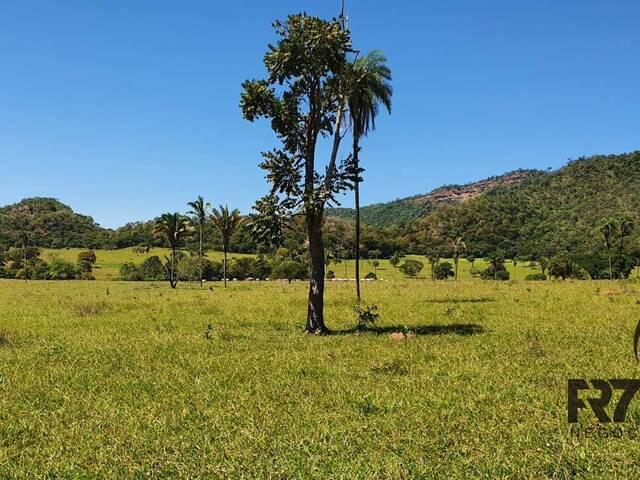 #522 - Fazenda para Venda em Uruaçu - GO - 1