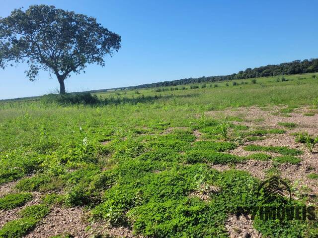 #633 - Fazenda para Venda em Lagoa da Confusão - TO