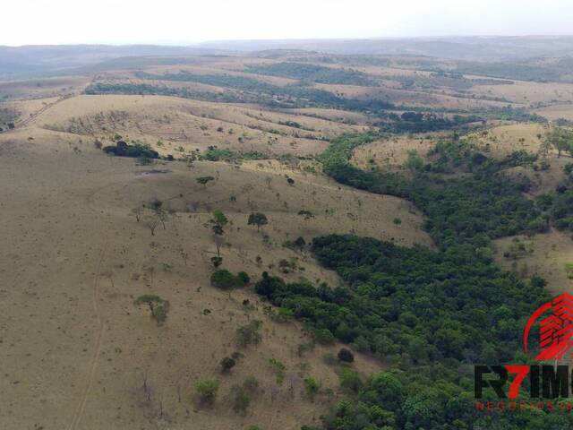 #832 - Fazenda para Venda em Abadiânia - GO - 2