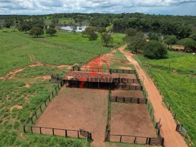 #1025 - Fazenda para Venda em Porangatu - GO - 1