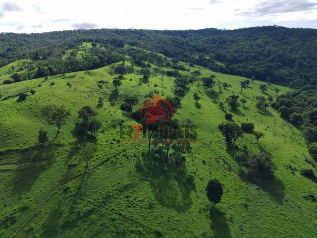 #1027 - Fazenda para Venda em São Miguel do Passa Quatro - GO - 2