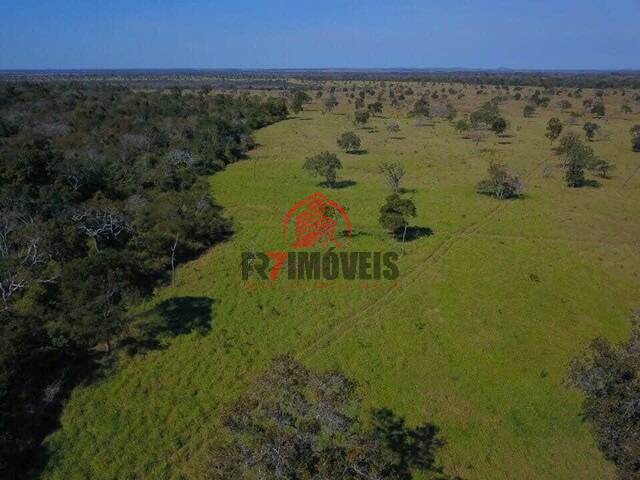 #1055 - Fazenda para Venda em Vila Bela da Santíssima Trinda - MT - 2