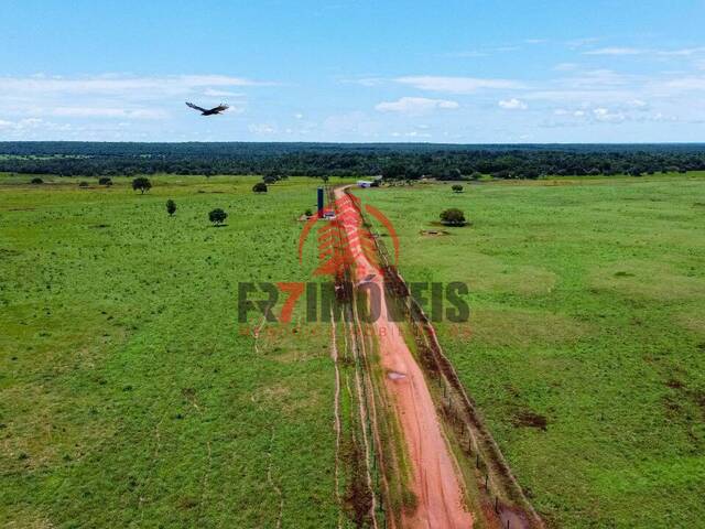 #1407 - Fazenda para Venda em Formoso do Araguaia - TO - 2