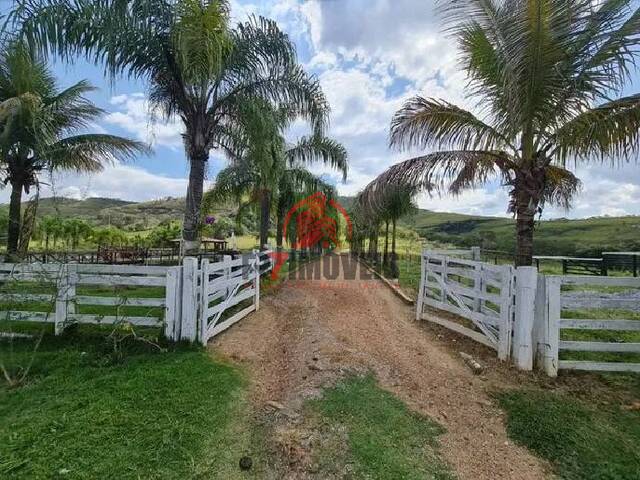 #1511 - Fazenda para Venda em Cocalzinho de Goiás - GO - 3