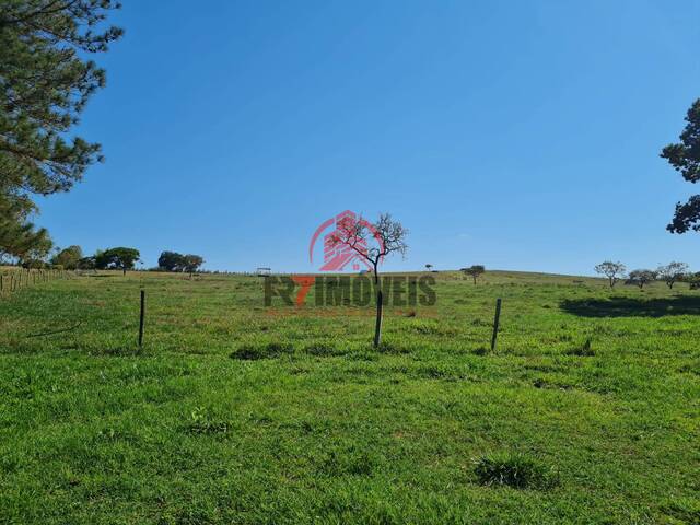 #1525 - Fazenda para Venda em Anápolis - GO - 1