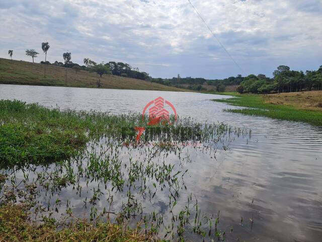 #1525 - Fazenda para Venda em Anápolis - GO - 2