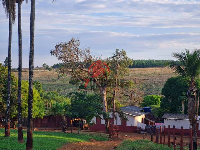 #1525 - Fazenda para Venda em Anápolis - GO - 3