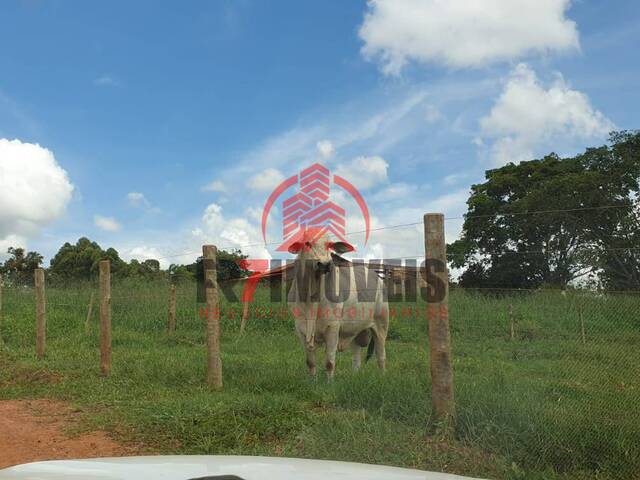 #1534 - Chácara para Venda em Bela Vista de Goiás - GO - 1