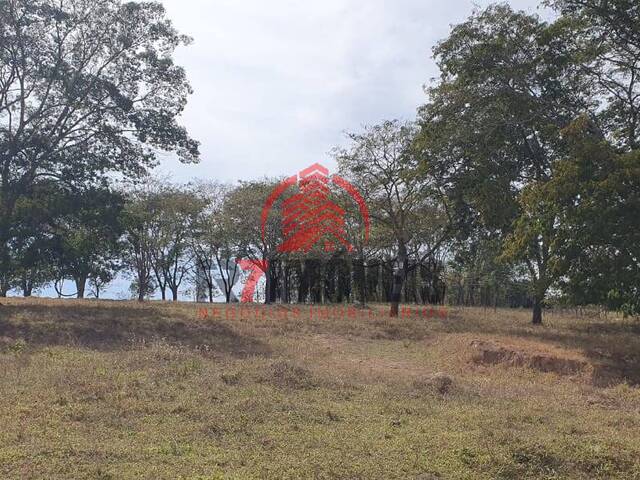 #1536 - Chácara para Venda em Bela Vista de Goiás - GO - 1