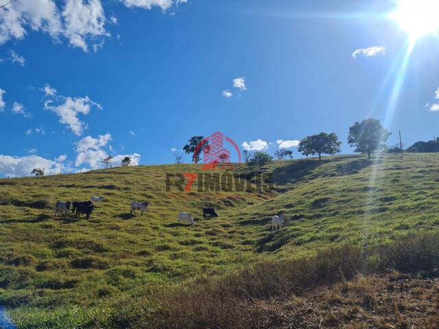 #1537 - Chácara para Venda em Bela Vista de Goiás - GO - 1