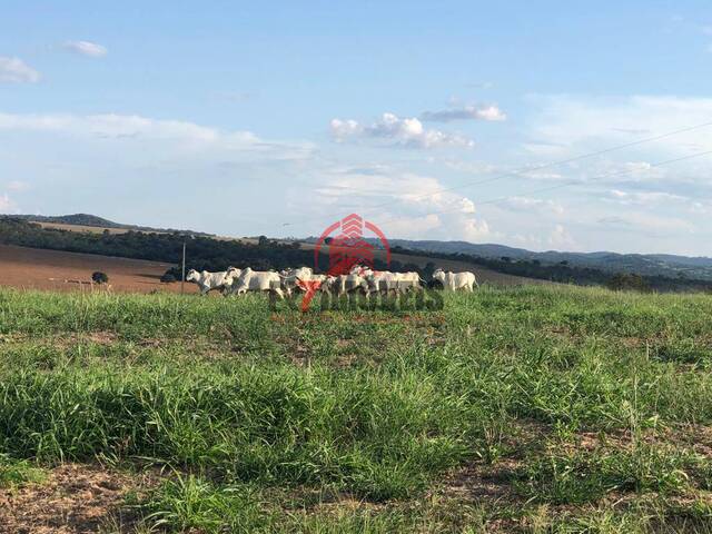 #1651 - Fazenda para Venda em Pires do Rio - GO - 1