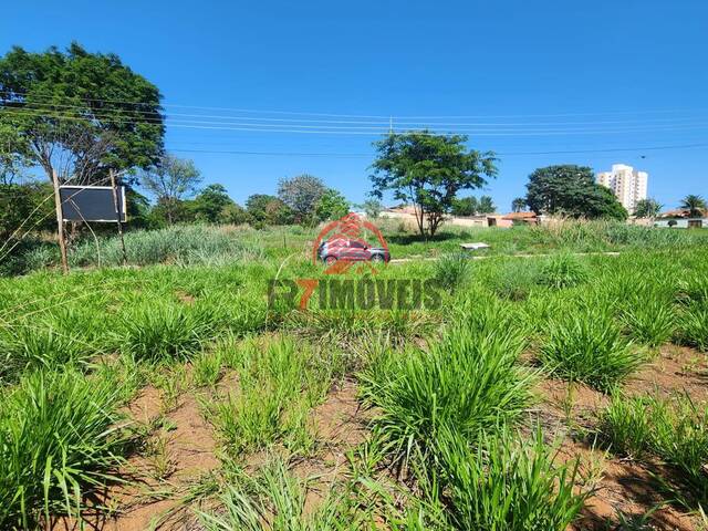 #1656 - Área para Venda em Goiânia - GO - 3