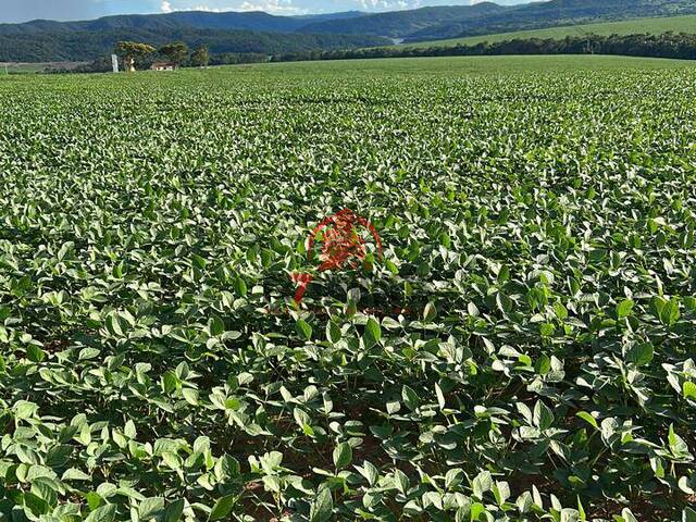 #1946 - Fazenda para Venda em Ipameri - GO - 3