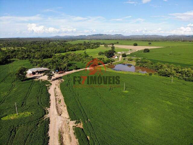 #2210 - Fazenda para Venda em Niquelândia - GO - 1