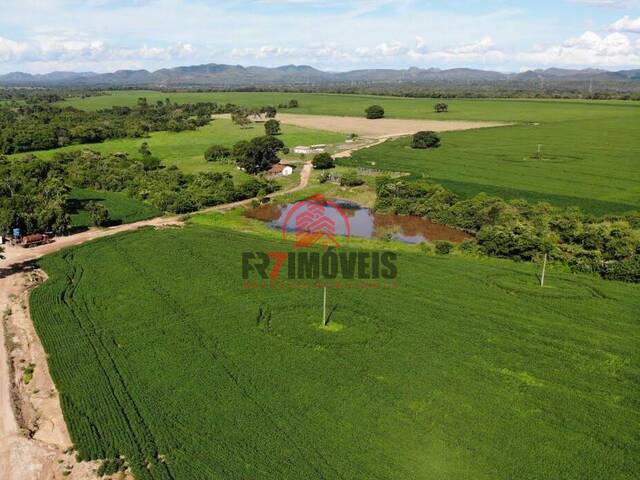 #2210 - Fazenda para Venda em Niquelândia - GO - 3