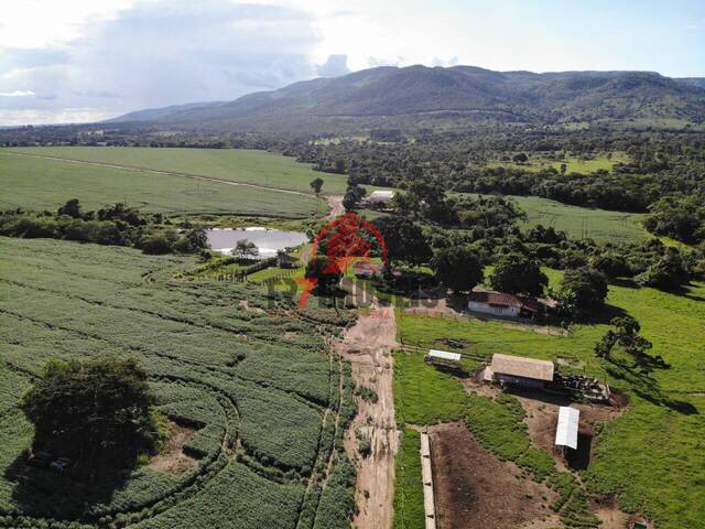 #2210 - Fazenda para Venda em Niquelândia - GO - 2