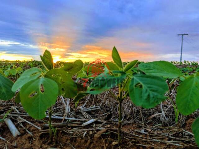 #2276 - Fazenda para Venda em Cristalina - GO - 2