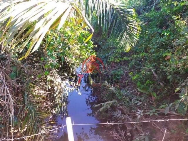 #2336 - Fazenda para Venda em Bandeirantes do Tocantins - TO - 3